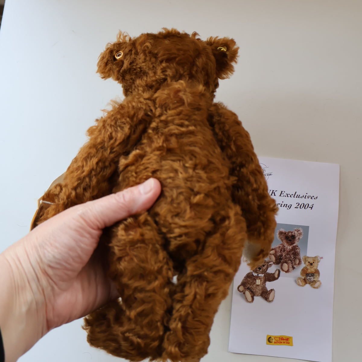 BOXED: Vintage 2004 STEIFF BEAR. Classic Brown Bear with Tags