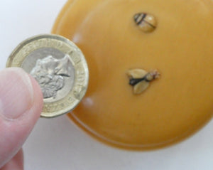 1930s Small Circular Lidded Pill Box with Fly and Ladybird Butterscotch Bakelite
