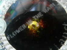 Load image into Gallery viewer, 1970s Caithness Glass Paperweight Entitled Flower in the Rain YELLOW Flower
