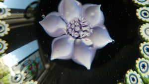 Vintage Caithness Paperweight (for Edinburgh Crystal). Lilac Floral Motif