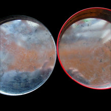 Load image into Gallery viewer, 1960s Scottish Shortbread Advertising Tin