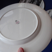 Load image into Gallery viewer, Views of HADDINGTON EAST LOTHIAN. Dinner Plates