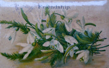 Load image into Gallery viewer, Antique 19th Century MAUCHLINE Ware Box. Sentimental Friendship Box with FRIENDSHIP Annotation and White Flowers Design