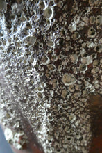 Load image into Gallery viewer, Huge Dumler &amp; Breiden Vintage West German Pottery Floor Vase 1960s
