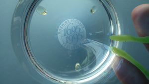 Fine Caithness Glass Bowl; etched thistles & floral design. Bank of Scotland Tercentenary 1995