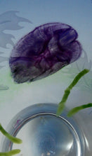 Load image into Gallery viewer, Fine Caithness Glass Bowl; etched thistles &amp; floral design. Bank of Scotland Tercentenary 1995
