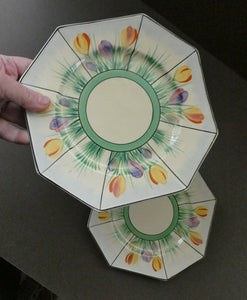 Sweet 1930s Pair of Royal Venton Ware ART DECO Side Plates with Hand Painted Crocus Decoration