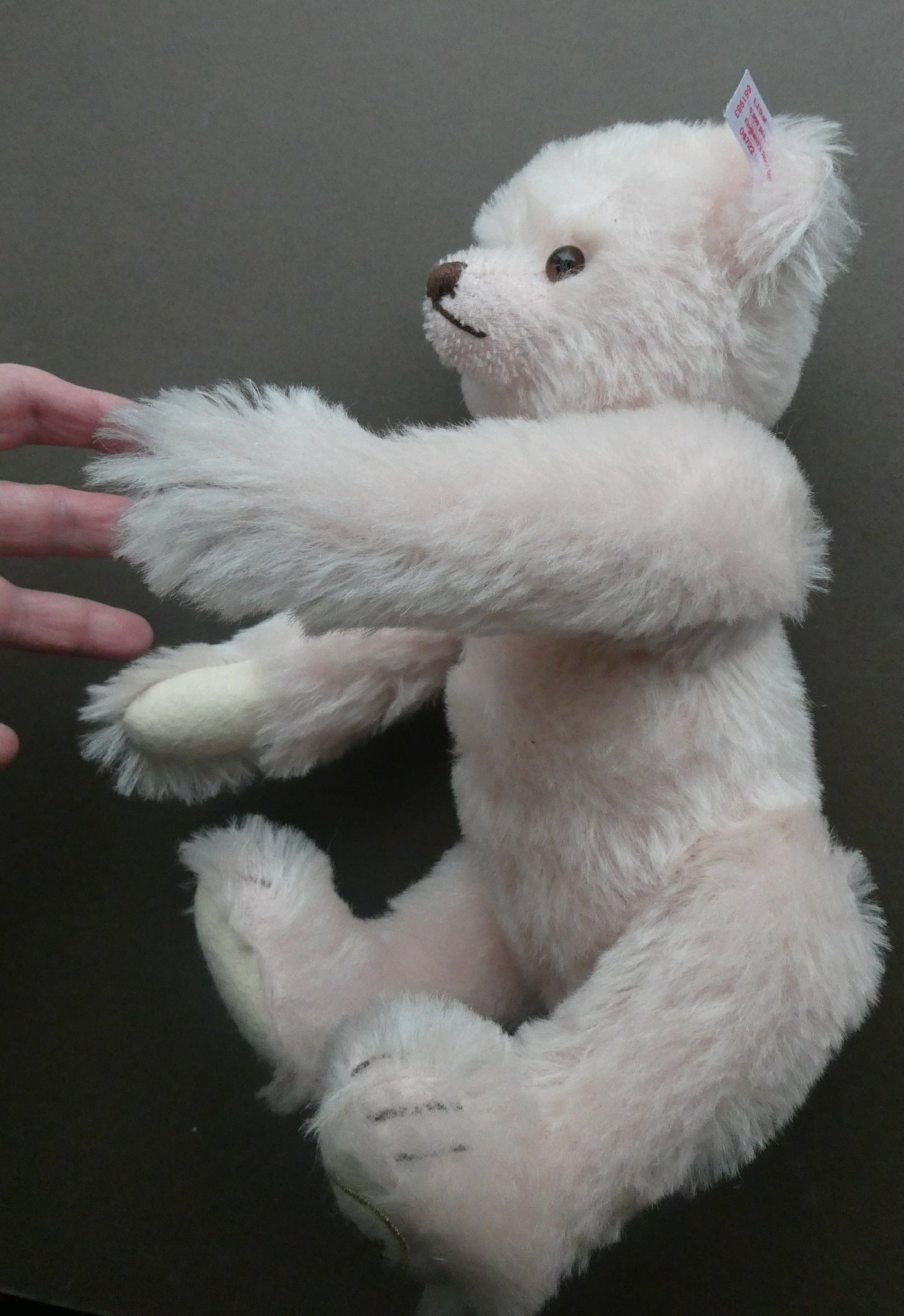 Steiff princess diana bear deals
