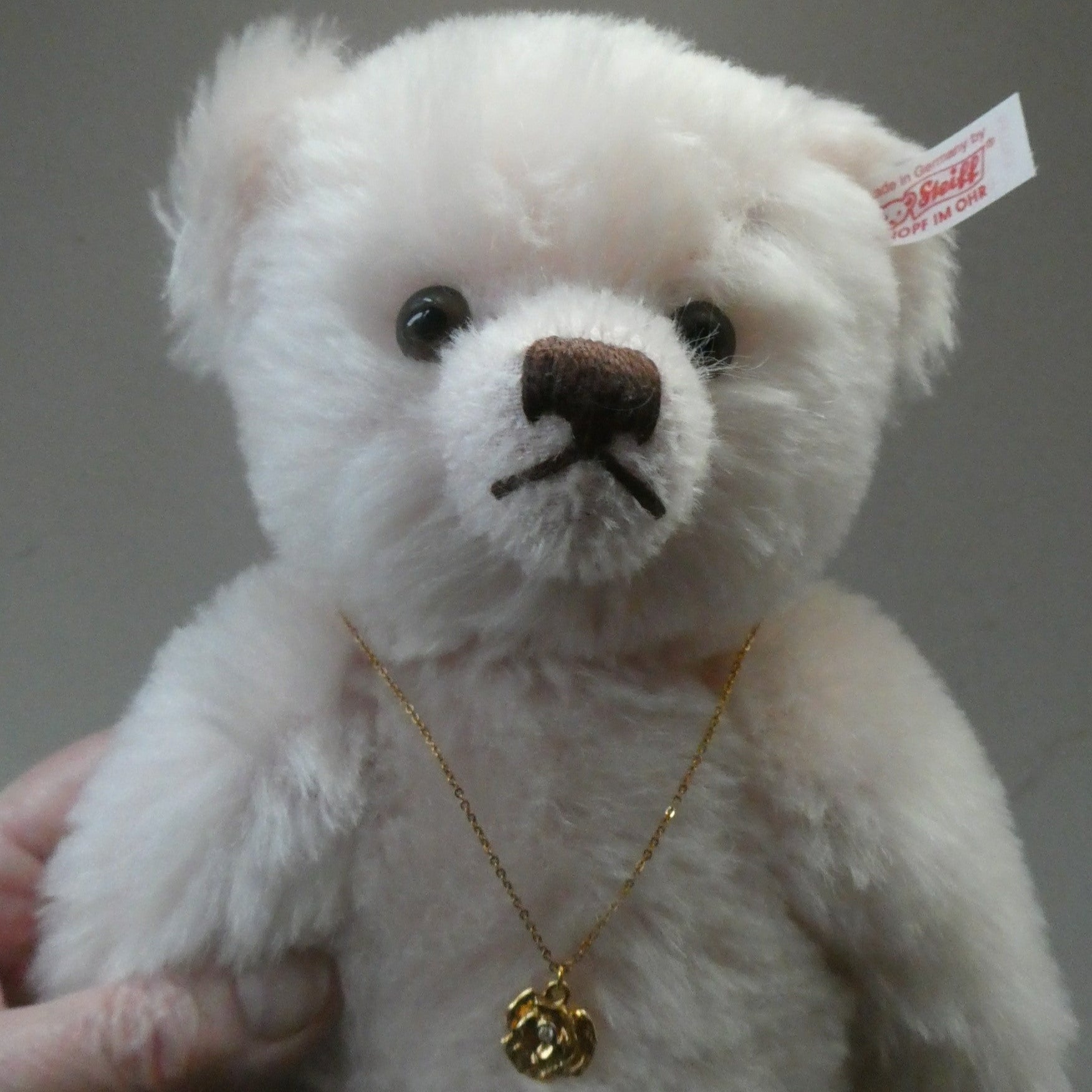 STEIFF LIMITED EDITION Pink Teddy Bear 2007. BRITISH COLLECTORS