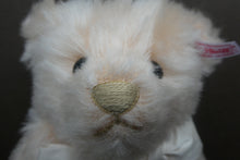 Load image into Gallery viewer, 2011 Limited Edition Royal Wedding Catherine Bear with Gold Nose. BOXED
