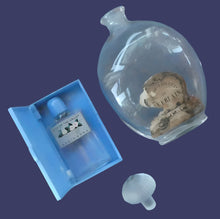 Load image into Gallery viewer, 1930s ART DECO Miniature Lily of the Valley Perfume Bottle in Early Plastic Box. ATKINSON&#39;S, LONDON &amp; an Art Nouveau Lalique Perfume Bottle
