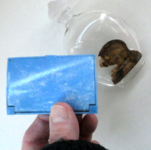 Load image into Gallery viewer, 1930s ART DECO Miniature Lily of the Valley Perfume Bottle in Early Plastic Box. ATKINSON&#39;S, LONDON &amp; an Art Nouveau Lalique Perfume Bottle
