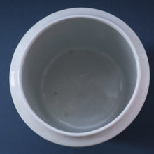 Load image into Gallery viewer, Early 20th Century Antique Grimwades White Hooped Household Jar or Canister. SAGO (in green letters)
