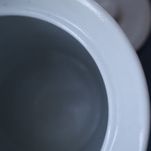 Load image into Gallery viewer, Vintage Grimwades Style White Hooped Household Jar or Canister. BARLEY (black letters)
