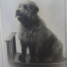 Load image into Gallery viewer, Antique 19th Century MAUCHLINE Ware Photograph Album with Image on cover of Broad Street, Peterhead
