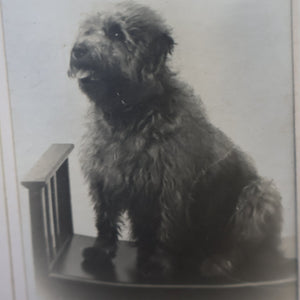 Antique 19th Century MAUCHLINE Ware Photograph Album with Image on cover of Broad Street, Peterhead