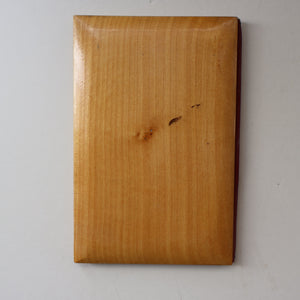 Antique 19th Century MAUCHLINE Ware Book / Small Blotter with View of Rothesay from the East