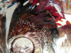 Scottish Art Glass Discus Paperweight by Jane Charles. Signed