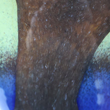 Load image into Gallery viewer, Contemporary Design. Large Stylish Lithuanian Hand-Blown Art Glass Vase Multi-Coloured with Cased Glass Interior
