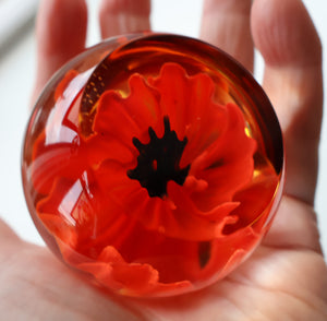 CAITHNESS GLASS. Vintage 1999 Paperweight. RED POPPY by Helen MacDonald