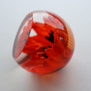 CAITHNESS GLASS. Vintage 1999 Paperweight. RED POPPY by Helen MacDonald