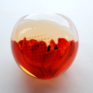 CAITHNESS GLASS. Vintage 1999 Paperweight. RED POPPY by Helen MacDonald
