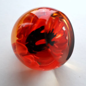 CAITHNESS GLASS. Vintage 1999 Paperweight. RED POPPY by Helen MacDonald