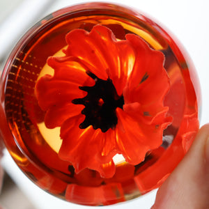 CAITHNESS GLASS. Vintage 1999 Paperweight. RED POPPY by Helen MacDonald