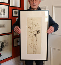 Load image into Gallery viewer, SCOTTISH ART: Katherine (Kate) Cameron (1874- 1965). Large 1920s Etching with Butterflies and Harebells. SIGNED
