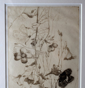 SCOTTISH ART: Katherine (Kate) Cameron (1874- 1965). Large 1920s Etching with Butterflies and Harebells. SIGNED