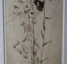 Load image into Gallery viewer, SCOTTISH ART: Katherine (Kate) Cameron (1874- 1965). Large 1920s Etching with Butterflies and Harebells. SIGNED
