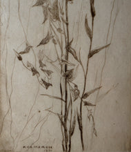 Load image into Gallery viewer, SCOTTISH ART: Katherine (Kate) Cameron (1874- 1965). Large 1920s Etching with Butterflies and Harebells. SIGNED
