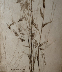 SCOTTISH ART: Katherine (Kate) Cameron (1874- 1965). Large 1920s Etching with Butterflies and Harebells. SIGNED