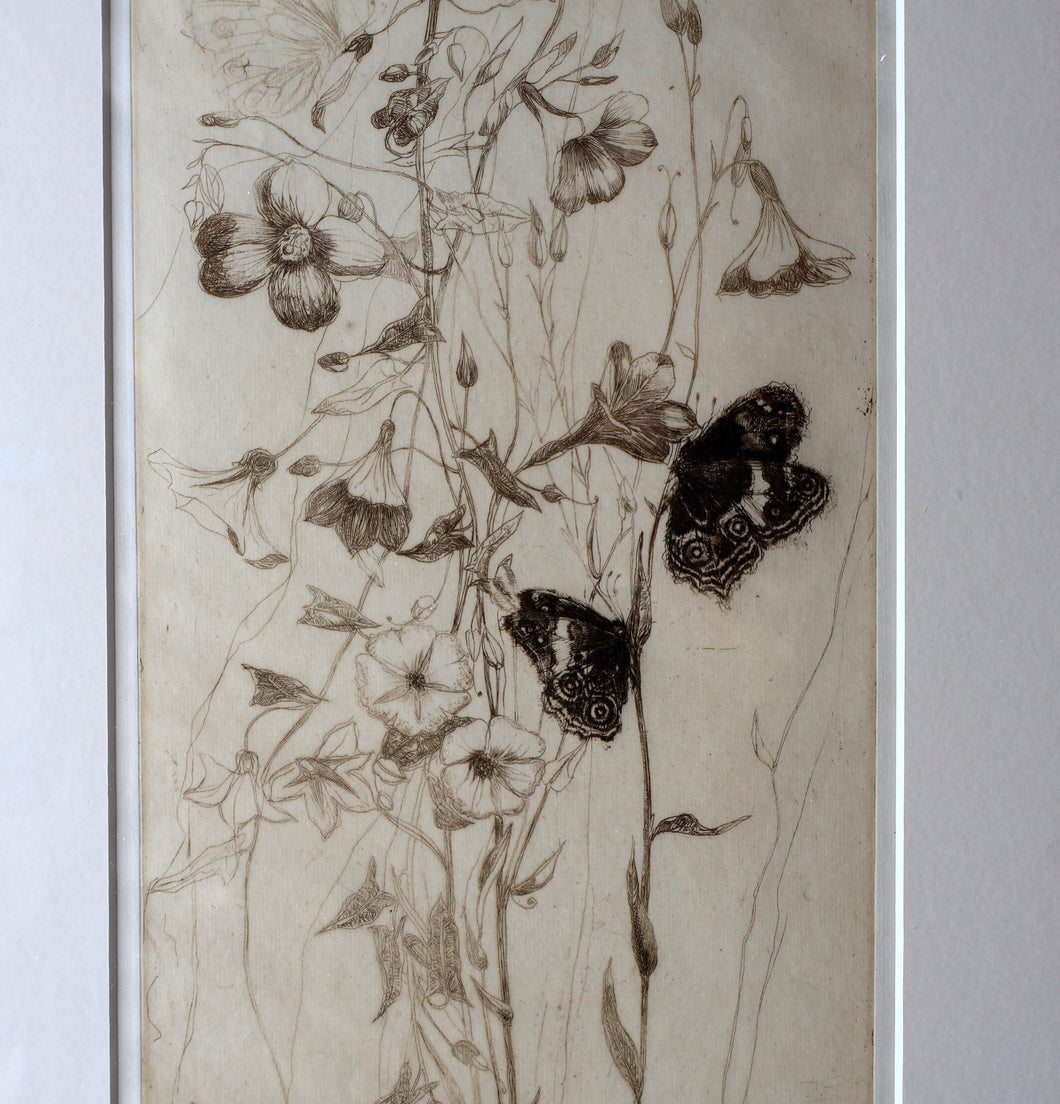 SCOTTISH ART: Katherine (Kate) Cameron (1874- 1965). Large 1920s Etching with Butterflies and Harebells. SIGNED