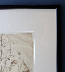 SCOTTISH ART: Katherine (Kate) Cameron (1874- 1965). Large 1920s Etching with Butterflies and Harebells. SIGNED