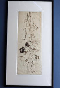 SCOTTISH ART: Katherine (Kate) Cameron (1874- 1965). Large 1920s Etching with Butterflies and Harebells. SIGNED