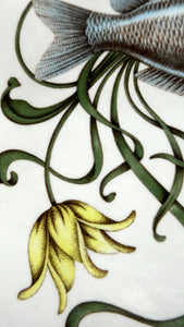 VILLEROY & BOCH.  Fish Plate from the Atlantic Range. No 3: The Carp