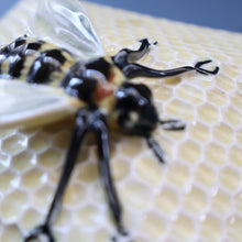 Load image into Gallery viewer, 1930s Art Deco CROWN DEVON Honey Pot or Box with Bee Finial on the Lid
