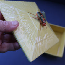 Load image into Gallery viewer, Vintage Mid-Century Continental Honey Pot or Box with Bee Finial on the Lid
