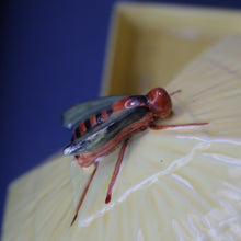 Load image into Gallery viewer, Vintage Mid-Century Continental Honey Pot or Box with Bee Finial on the Lid
