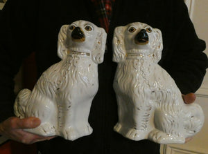 Antique Pair of Staffordshire Chimney Spaniels or Wally Dogs. 11 inches. Yellow Eyes