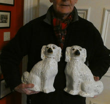 Load image into Gallery viewer, Antique Pair of Staffordshire Chimney Spaniels or Wally Dogs. 11 inches. Yellow Eyes
