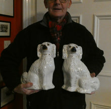 Load image into Gallery viewer, Antique Pair of Staffordshire Chimney Spaniels or Wally Dogs. 11 inches. Yellow Eyes
