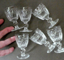 Load image into Gallery viewer, Set of Six STUART CRYSTAL ARUNDEL Pattern Small Cordial or Liqueur Glasses. 2 3/4 inches
