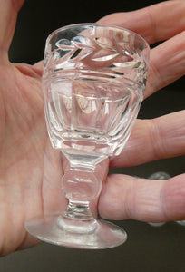 Set of Six STUART CRYSTAL ARUNDEL Pattern Small Cordial or Liqueur Glasses. 2 3/4 inches