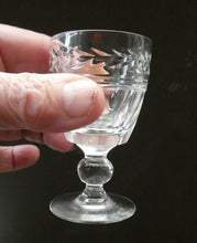 Load image into Gallery viewer, Set of Six STUART CRYSTAL ARUNDEL Pattern Small Cordial or Liqueur Glasses. 2 3/4 inches
