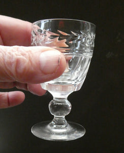 Set of Six STUART CRYSTAL ARUNDEL Pattern Small Cordial or Liqueur Glasses. 2 3/4 inches