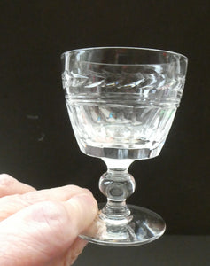 Set of Six STUART CRYSTAL ARUNDEL Pattern Sherry or Port Glasses. 3 1/2 inches