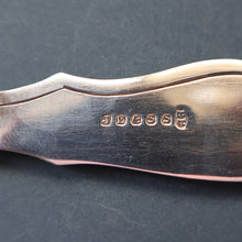 Load image into Gallery viewer, Antique Pair of Electro-Plate Berry Spoons &amp; Mother of Pearl Fruit Knife by JE &amp; SS. FITTED CASE
