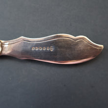 Load image into Gallery viewer, Antique Pair of Electro-Plate Berry Spoons &amp; Mother of Pearl Fruit Knife by JE &amp; SS. FITTED CASE
